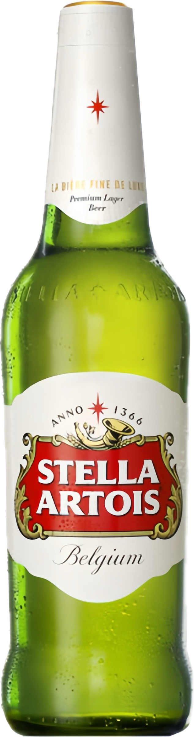stella
